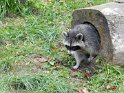 34.  Djuparken i Feldkirch