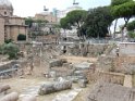 Ruiner intill Colosseum