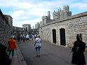Windsor Castle (3)